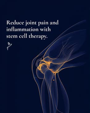 Slider image (2) Blue Phoenix for Regenerative Wellness